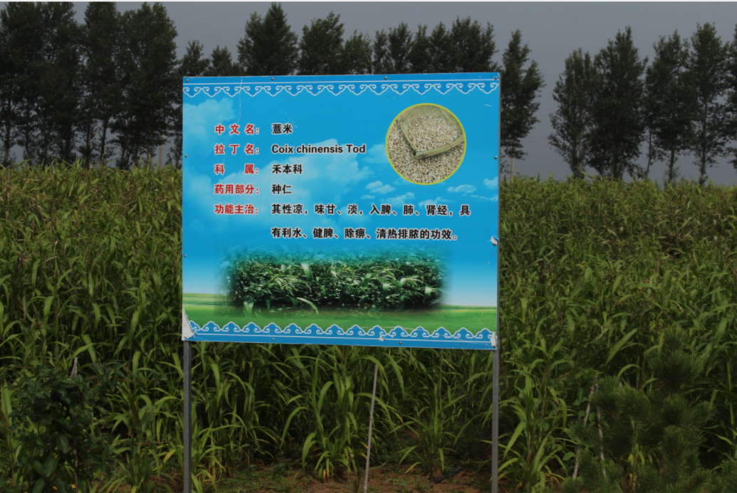 b2070e540fdf539a1c13f1e95978947.png