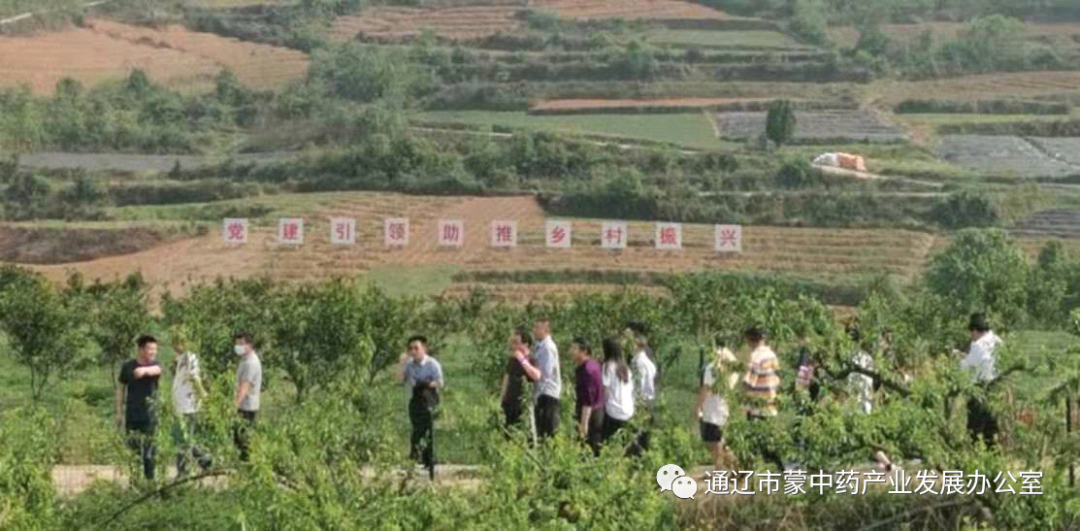 微信图片_20210410093005.png